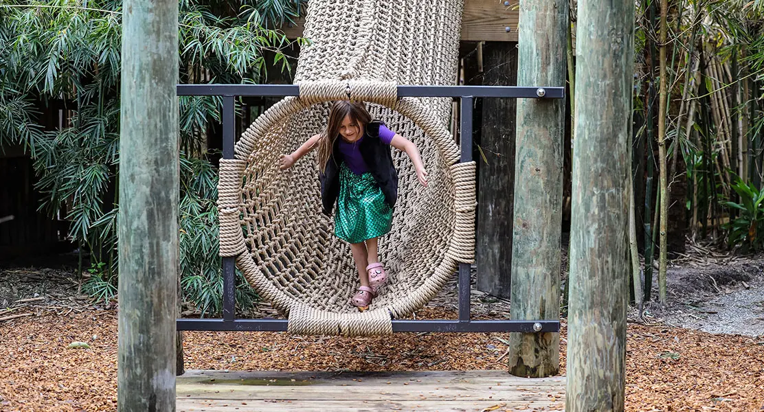 Children-Garden-132-ZF-6915-56505-1-001-132