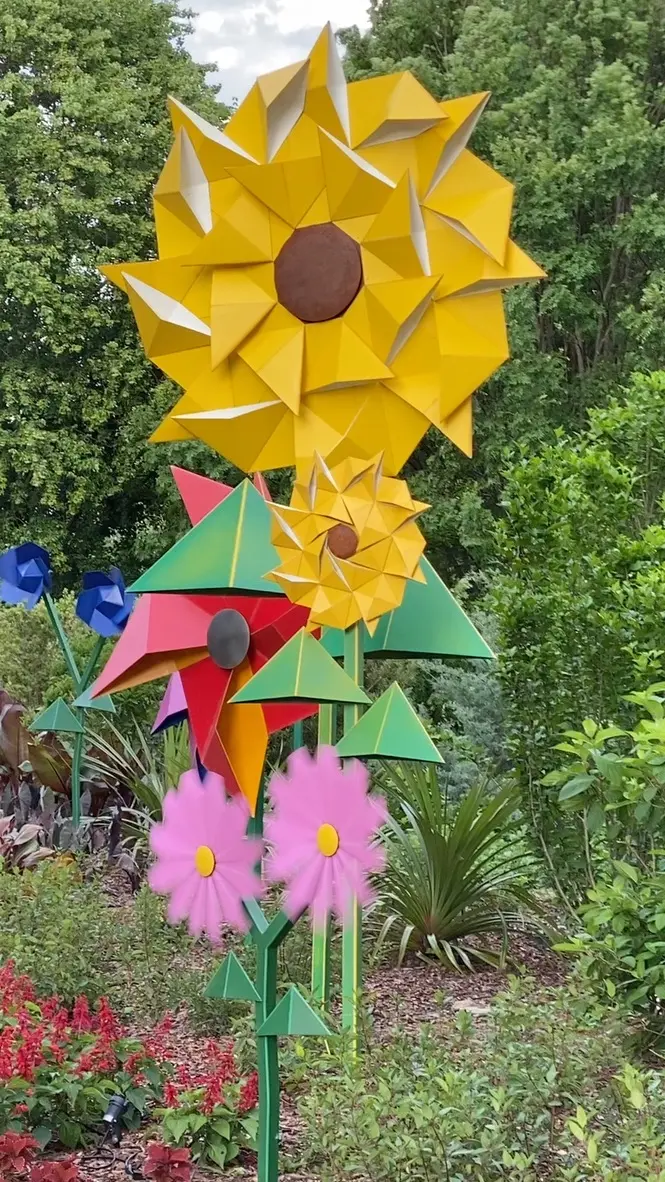 ABG.PinwheelWildflowers.Box.HerbAdcock