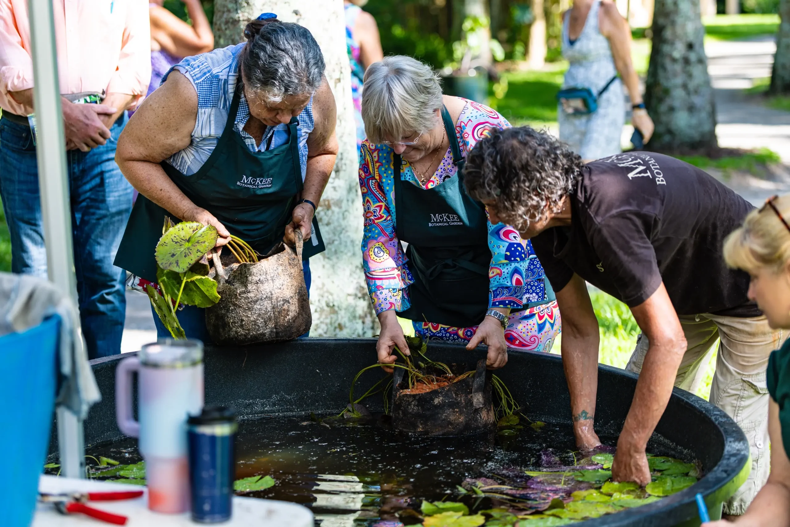 20th Waterlily-143 Photographer Patrick Rice