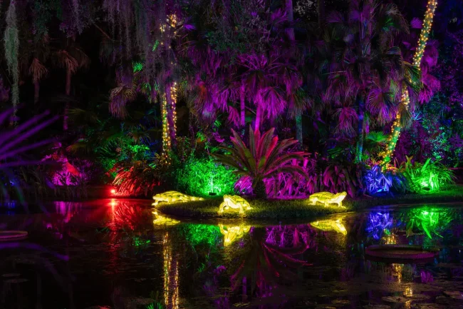 McKee Botanical Garden's 19th Annual JUNGLE LIGHTS Brings the